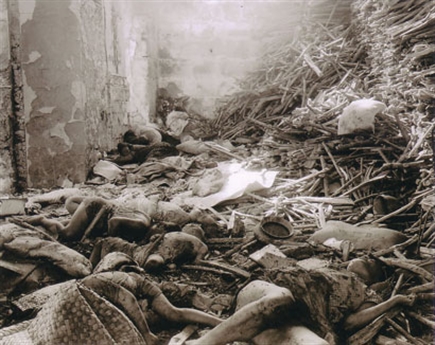 国家公祭日 _ 血写的历史