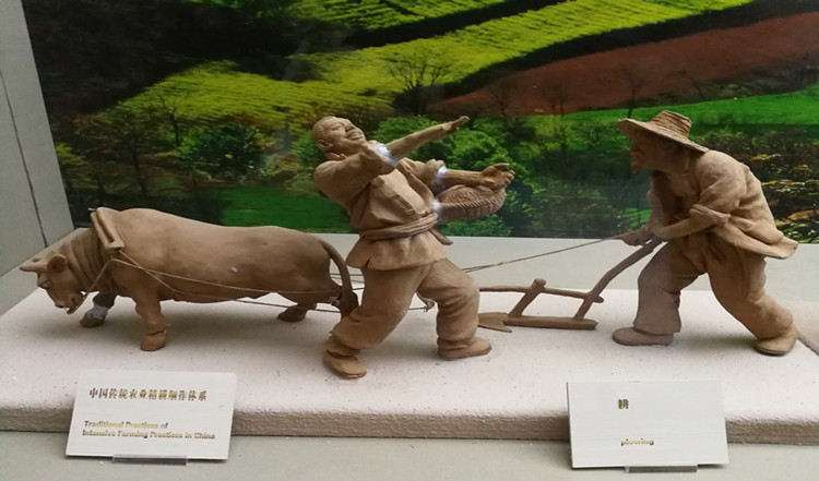 中国农业历史博中国物馆内，“中国传统农业精耕细作体系”雕塑（2）。韩宏摄.jpg
