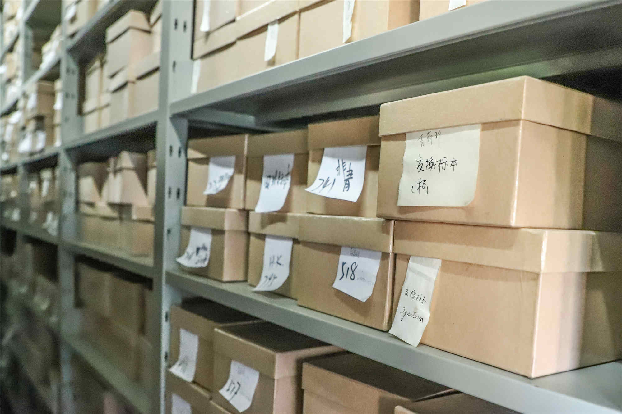 华东师大生物博物馆藏有10万余件苔藓标本.jpg