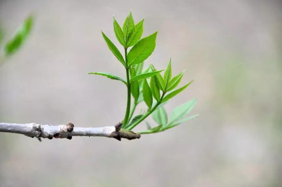 微信图片_20200213105159.jpg 微信图片_20200213105159.jpg