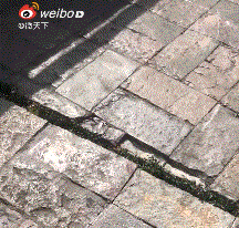 20200624_132002.gif