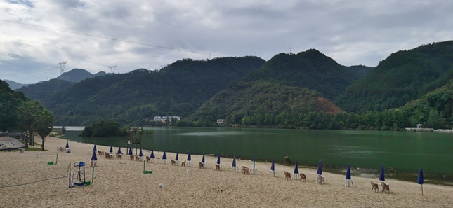 靠山吃山、靠水吃水,丽水谱写两山发展新