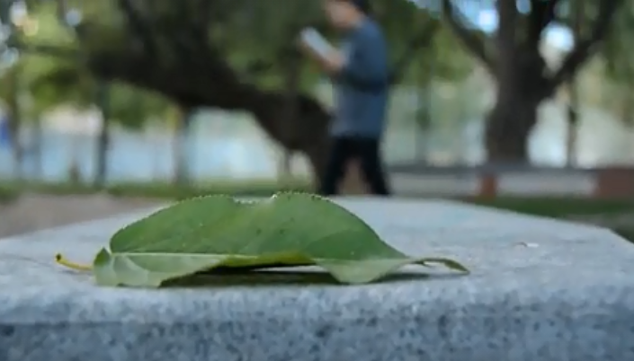 微信截图_20210923134840.png