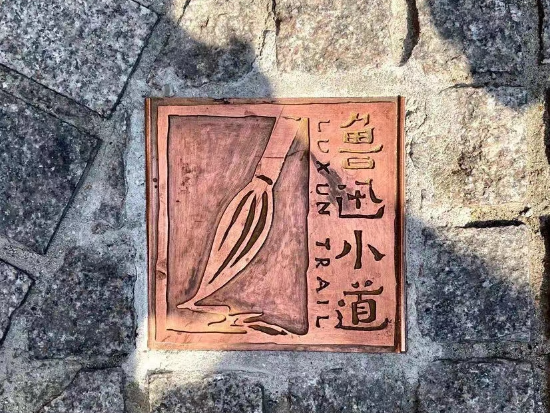 31154423cz6c.png