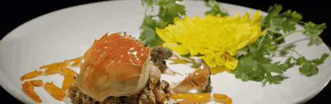 微信图片_20221031165734.gif