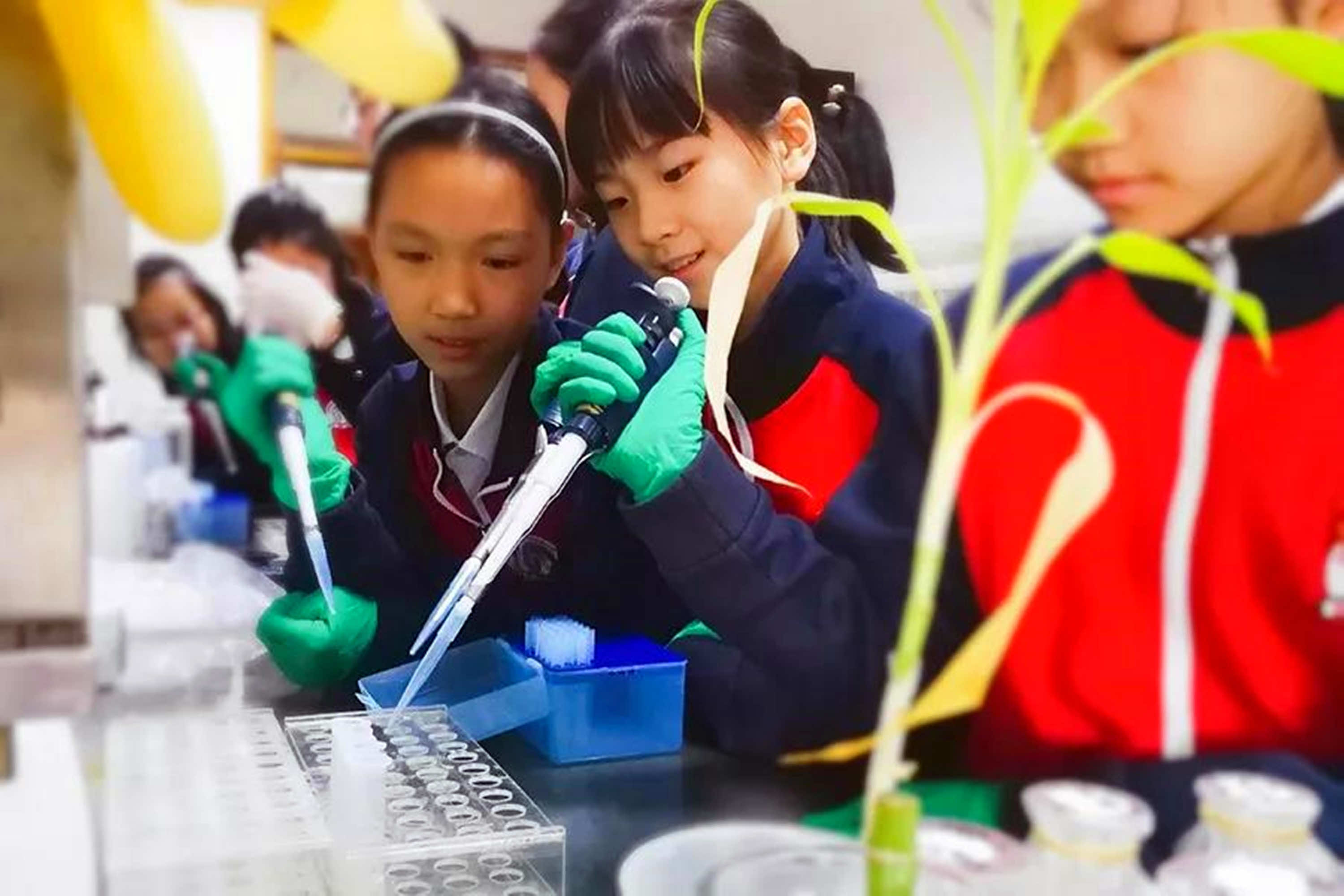 01-生物基因课题组学生在南京林业大学生物科技实验室做质粒提取实验.jpg
