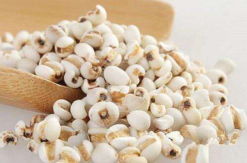 timg (11).jpg timg (11).jpg