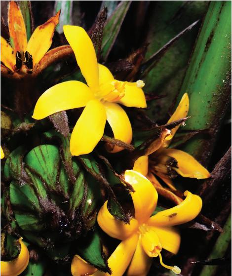 身边的花花草草都是故事