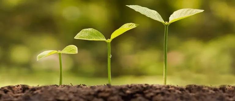 微信图片_20180527094528.jpg 微信图片_20180527094528.jpg