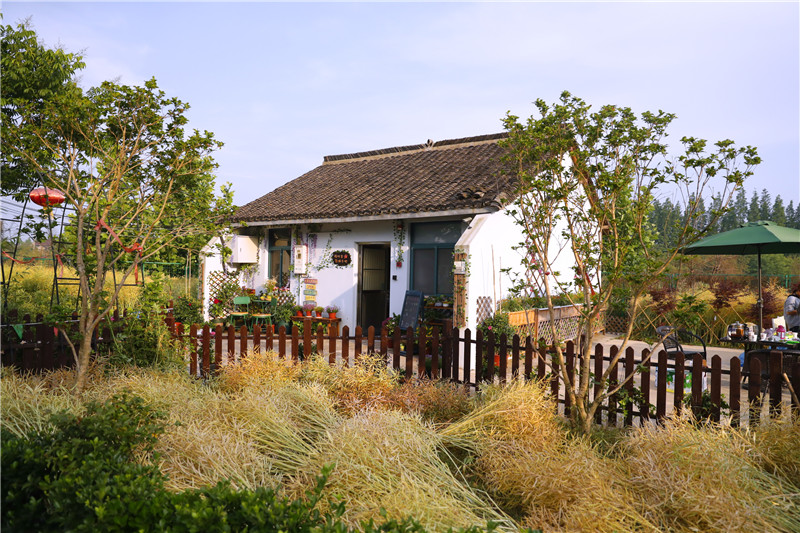 _B9I7542_副本.jpg _B9I7542_副本.jpg