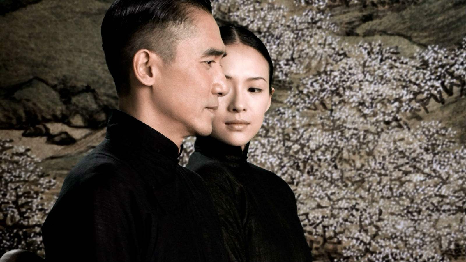 timg (6).jpg timg (6).jpg