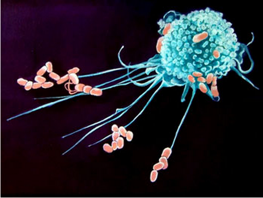 291227544877837.png 291227544877837.png