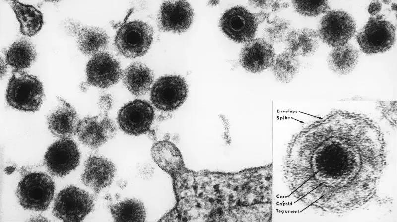 微信图片_20180626134033.jpg 微信图片_20180626134033.jpg
