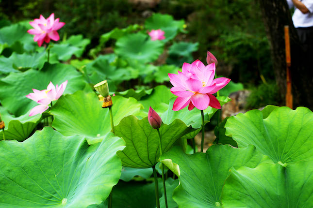 3A4A3864.jpg 3A4A3864.jpg