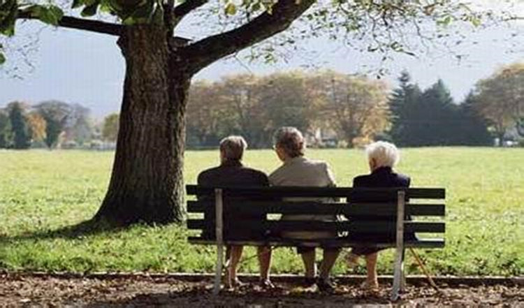 u=3185925731,1724840710&fm=27&gp=0.jpg u=3185925731,1724840710&fm=27&gp=0.jpg