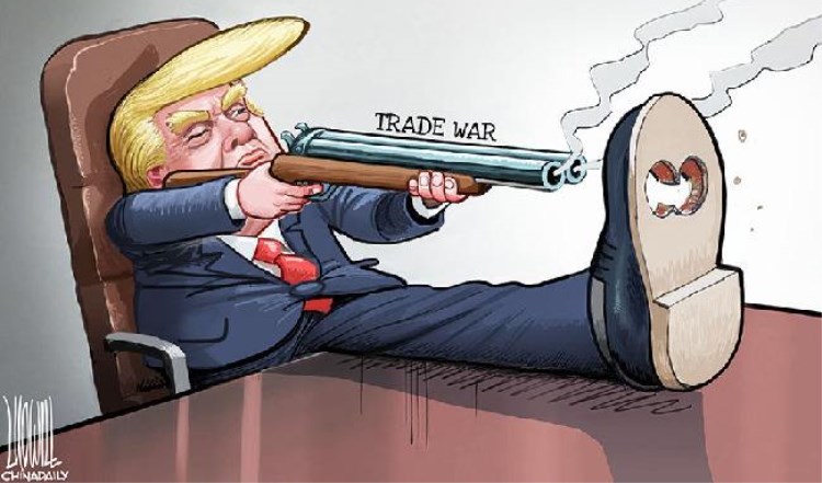 timg (1).jpg timg (1).jpg