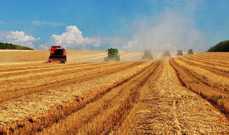 timg (2).jpg timg (2).jpg