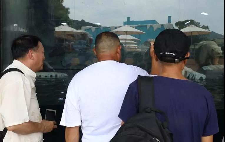 微信图片_20180725105138.jpg 微信图片_20180725105138.jpg