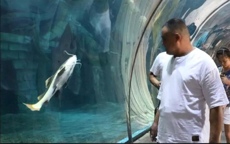 微信图片_20180725105141.jpg 微信图片_20180725105141.jpg