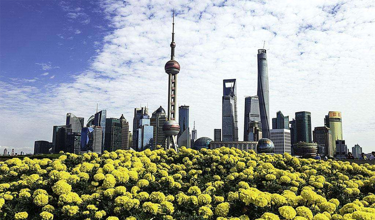 9封面.jpg 9封面.jpg