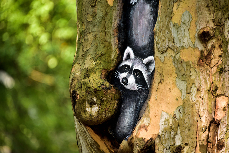 webwxgetmsgimg (6).jpg