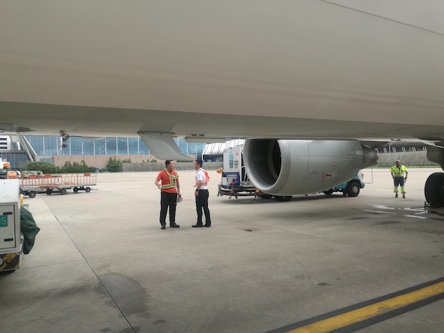 WechatIMG113.jpeg WechatIMG113.jpeg