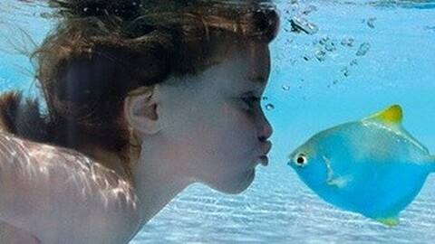 timg (2).jpg timg (2).jpg