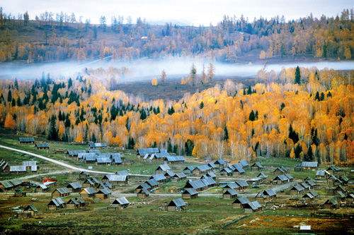 timg (1).jpg timg (1).jpg