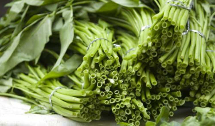 u=829805955,1831310561&fm=26&gp=0.jpg u=829805955,1831310561&fm=26&gp=0.jpg