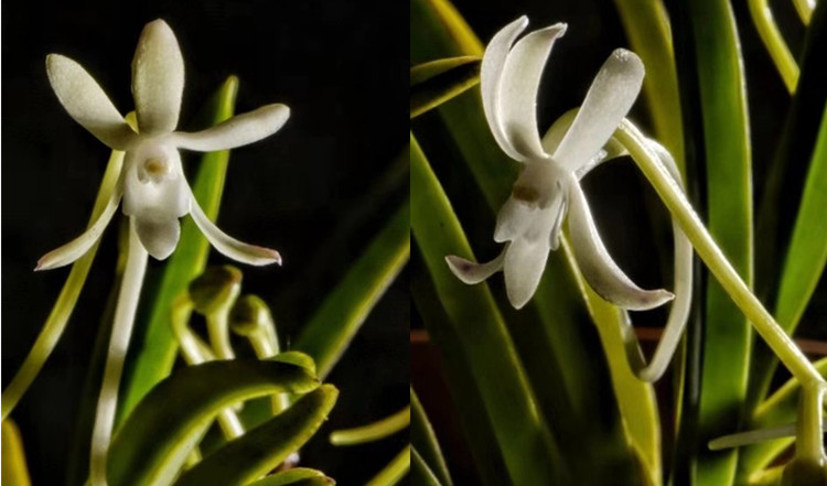 未命名_副本.jpg 未命名_副本.jpg