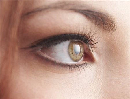 timg2ZRJ10GK.jpg timg2ZRJ10GK.jpg