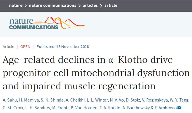 6405555.jpg 6405555.jpg