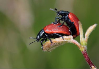 640ett.jpg 640ett.jpg