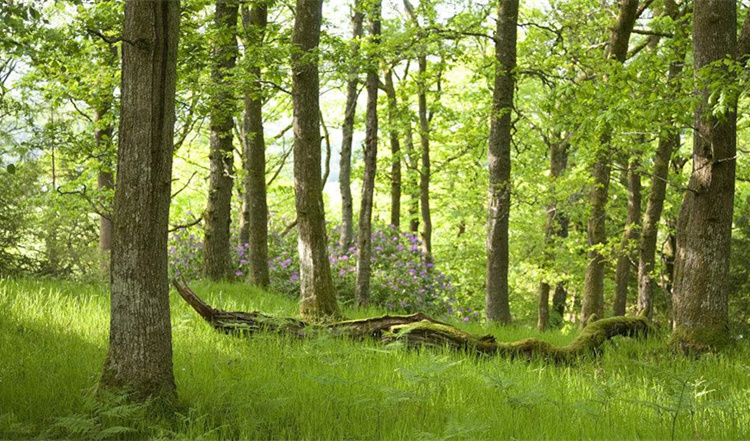 timg_副本.jpg timg_副本.jpg