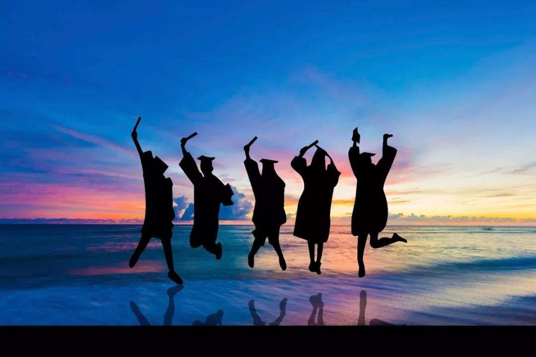 timg (6).jpg timg (6).jpg