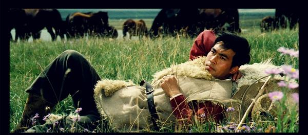 timg (3).jpg timg (3).jpg