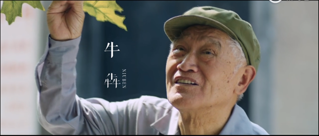 p2541042722_副本.png p2541042722_副本.png