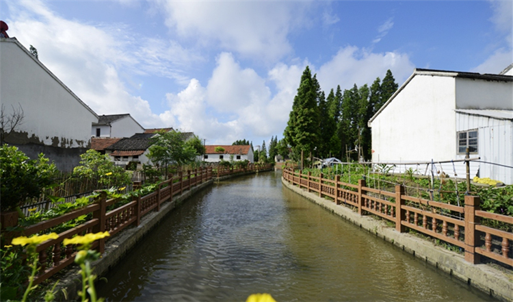 wenxin32190_02.jpg wenxin32190_02.jpg