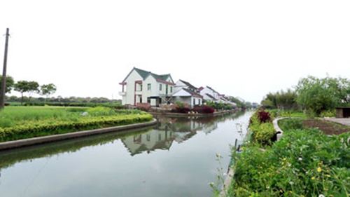 timg (3).jpg timg (3).jpg