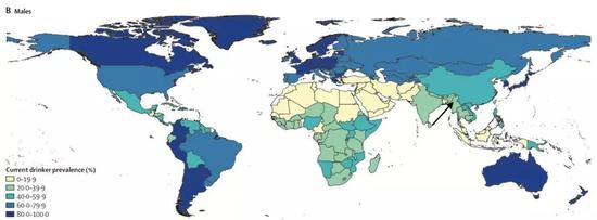 饮酒人数性别分布比例,俄罗斯,大洋洲,欧洲,美洲的女性真是巾帼不让须眉啊!