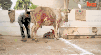 640 (1).gif 640 (1).gif