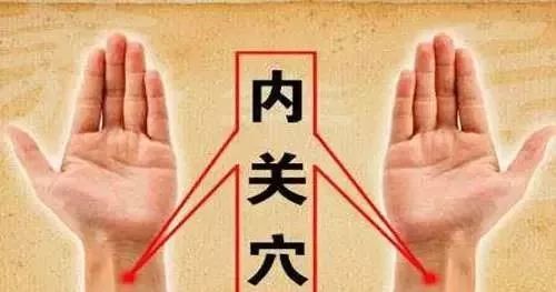 内关穴.jpg 内关穴.jpg