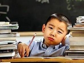 timg (20).jpg timg (20).jpg