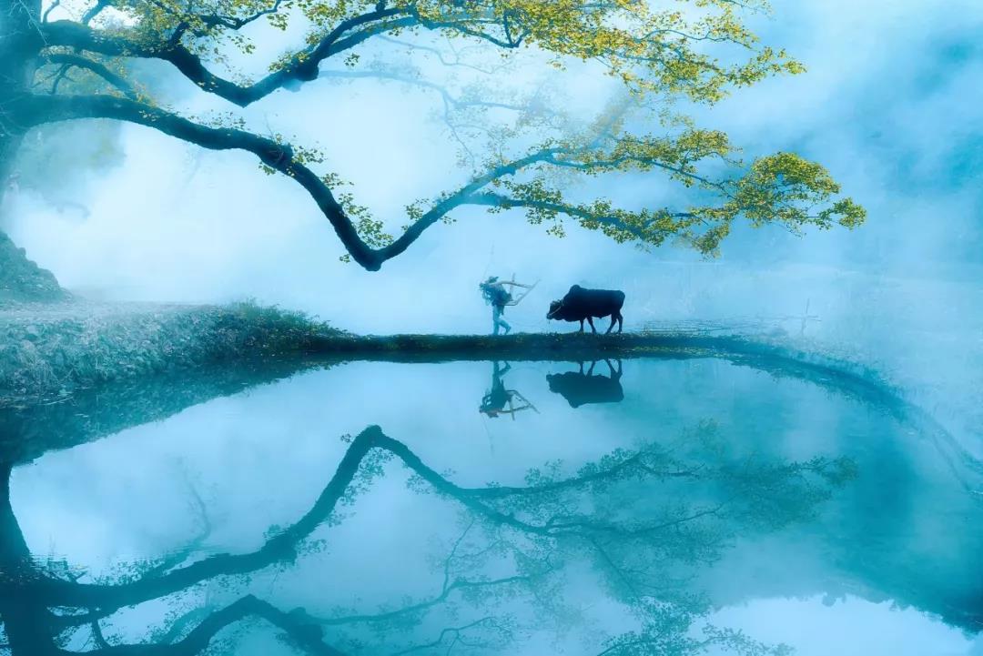 微信图片_20190308094334.jpg 微信图片_20190308094334.jpg