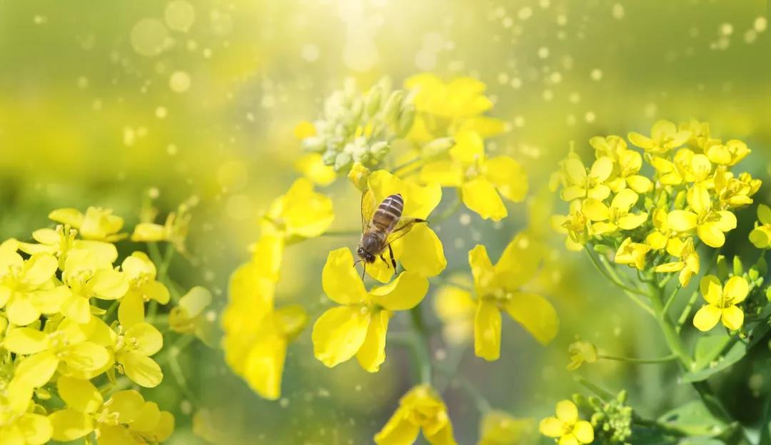 微信图片_20190308094337.jpg 微信图片_20190308094337.jpg