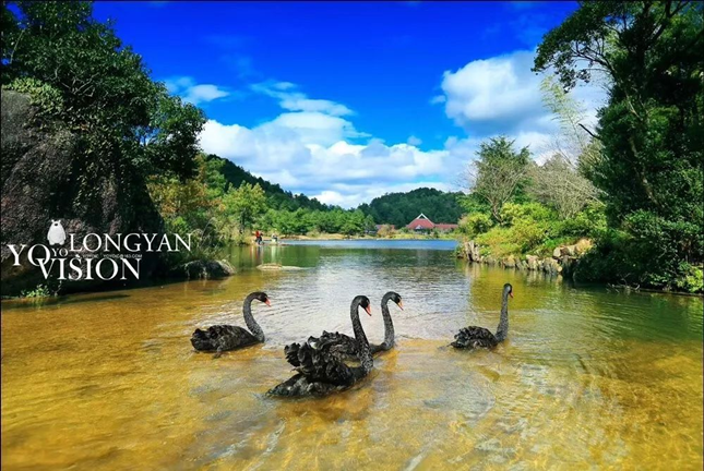 福建_副本.png 福建_副本.png