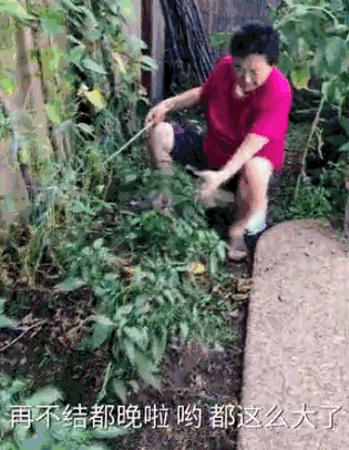 点击查看大图 点击查看大图