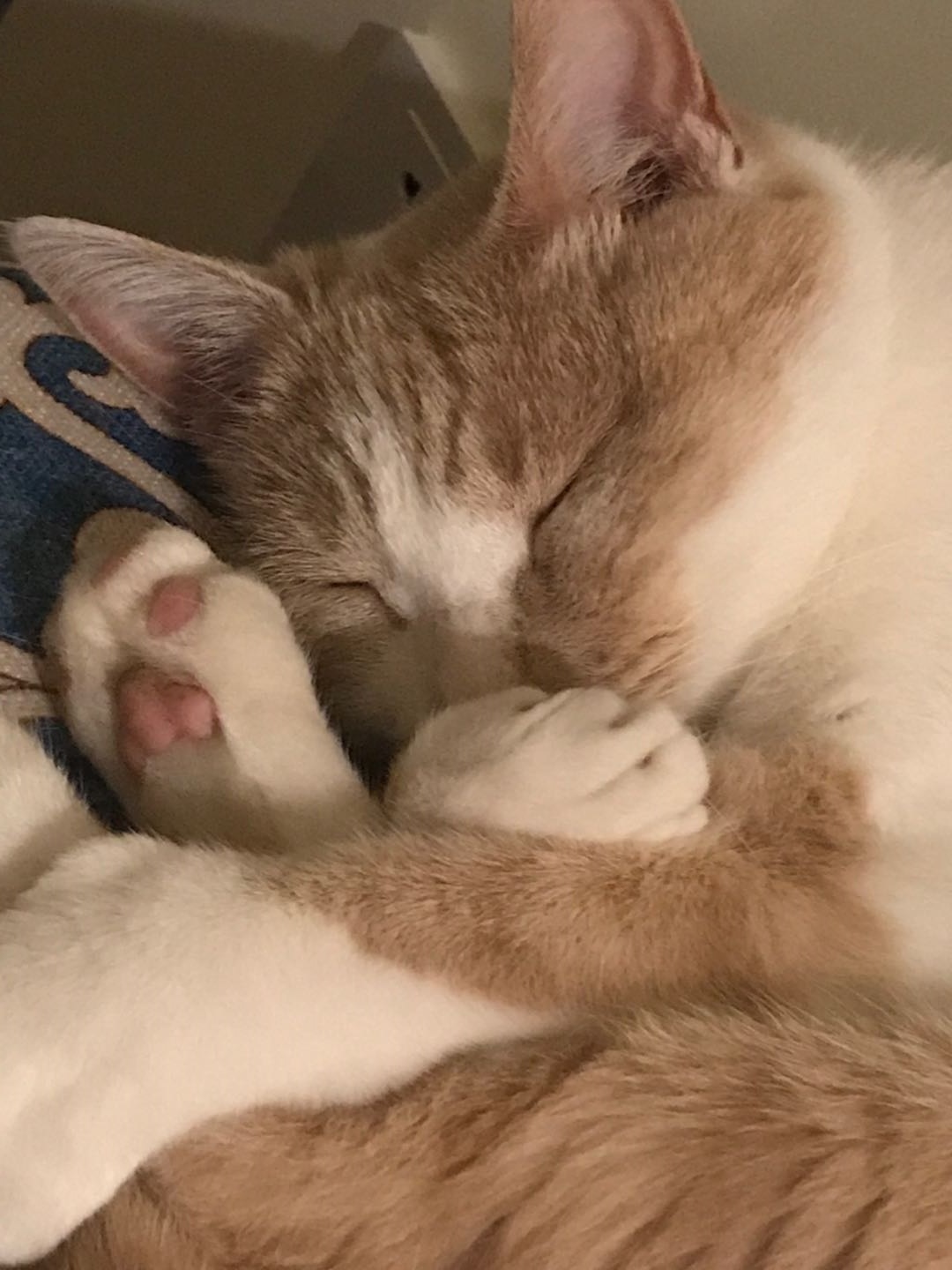 506156706.jpg 506156706.jpg