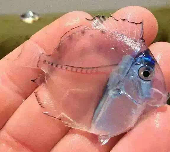 146703821721346904.jpg 146703821721346904.jpg