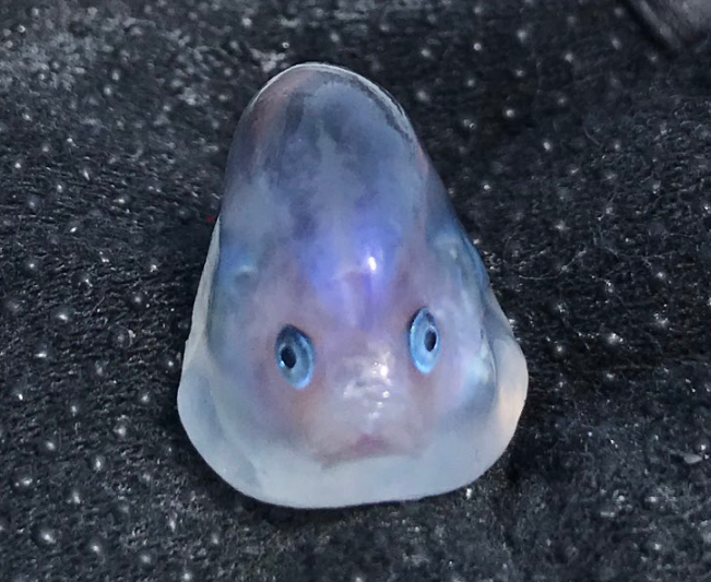 2019_05_09_2f7f6d579a6a46d5a9be19d2f923d6ee.png 2019_05_09_2f7f6d579a6a46d5a9be19d2f923d6ee.png